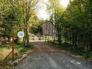 Le Montagnia escape to Tremblant with hot tub - Val-des-Lacs - 2