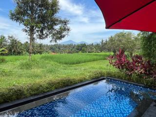 Maple Ridge Ubud Villas - Ubud - 3