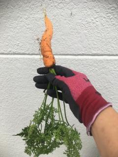 Wagyu hostel nedoko - 8