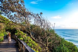 Palm Coastal Retreat - Family & Pet Friendly, 5-Mins to Beach! - Kawana Waters - 4