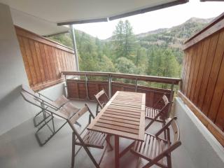 Appartement rénové 2 pièces, 4 pers. à Isola 2000, proche pistes - FR-1-292-215 - Isola - 2