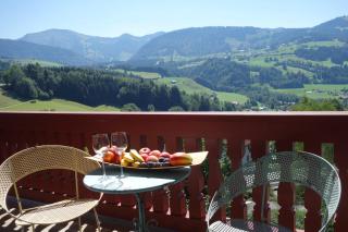 Villa Bergfrieden - Oberstaufen - 3
