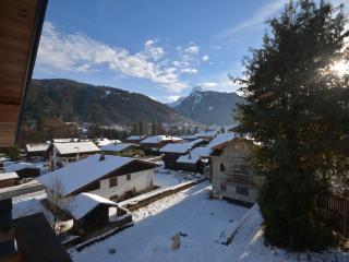 Charmant T3 à Morzine, proches des pistes, parking & wifi - FR-1-684-18 - 2