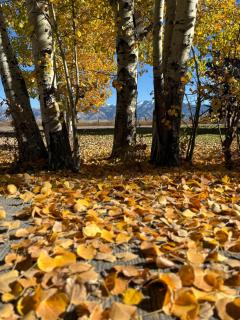 Fox Hollow Inn - Bozeman - 3
