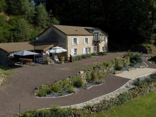 Gîte spacieux dans les Vosges avec terrasse, cuisine équipée et activités nature - FR-1-583-357 - La Lanterne-et-les-Armonts - 7