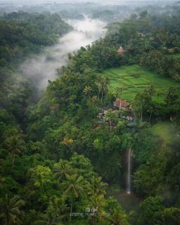 Dervish Valley Bali Villas 1 - Ubud - 9