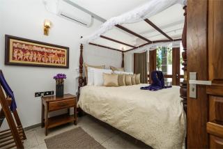 Morning Star Polhena - 1