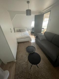 Appartement Duc d'alsace - Strasburgo - 4