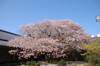 聖護院御殿荘 - 1