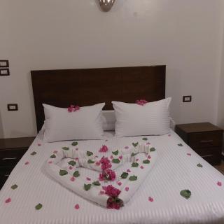 Jasmine Nile apartments - Luxor - 2