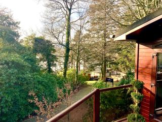 Tree House, Partial Lake Views Pet Friendly - 0