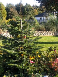 Ferienwohnung Wattlöwe - 1