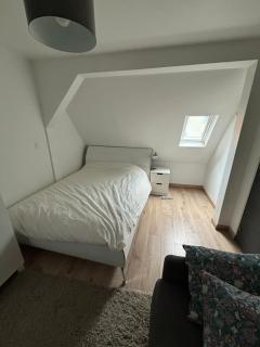 Appartement Duc d'alsace - Strasburgo - 2