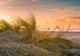 Hotel Regina Maris - Norddeich - 9