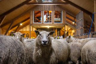 Unik fjøsleilighet - 0