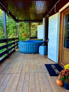 Sofia Lake House - Lunca Mare - 3