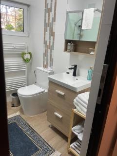 Aris Central&Cozy Studios - Iaşi - 3