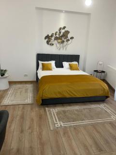 Aris Central&Cozy Studios - Iaşi - 4