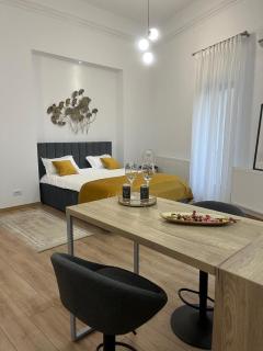 Aris Central&Cozy Studios - Iaşi - 5