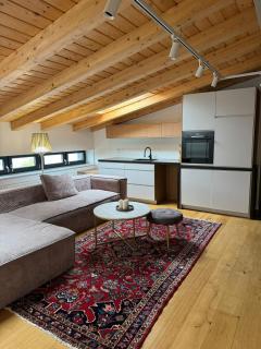 Ponte Residence Sisak - Sisak - 9