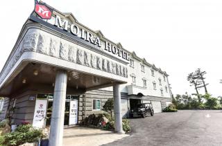 Moira Hotel - Jeju - 8