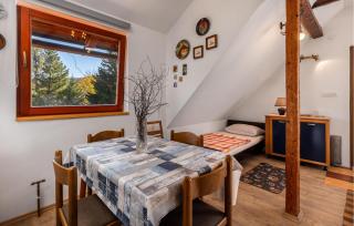 Cozy Apartment In Ravna Gora With Wifi - Ravna Gora - 6