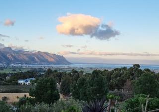 13 Olives, Entire Grape & Olive Estate, Somerset West by Euphoric Leisure - - 5