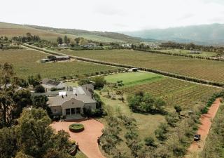 13 Olives, Entire Grape & Olive Estate, Somerset West by Euphoric Leisure - - 4