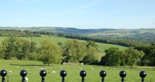 Duke of Wellington Inn - Corbridge - 6