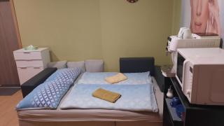 Rooms Orlí - Brünn - 1