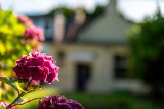 Historic Cottage Escape Near St Andrews - 7
