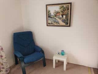 Vila LELA - Vrnjačka Banja - 2