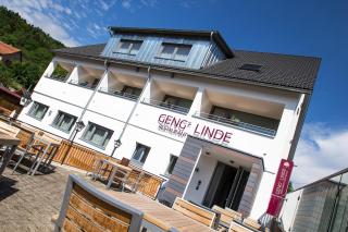 Gengs Linde - Stühlingen - 0