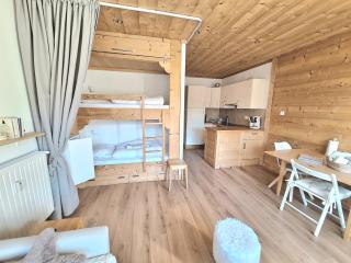 T2 cosy avec très belle vue à 400m des pistes - 6