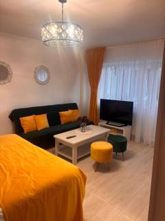 Yan Home Studio - Predeal - 1