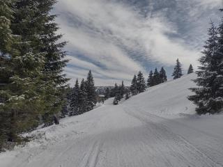 Penzion Kučera - Dolní Moravice - 9