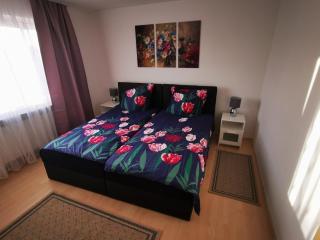 KoblenzLiebe Mosel Ferienwohnung 3-Zimmer Balkon Parking - Coblença - 9