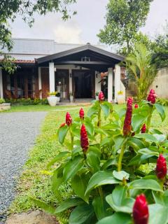 Nivartana Villa and Purana Ayurveda Center - Bentota - 9