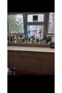 Room in central London - London - 2
