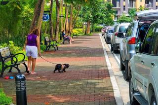 CirculoVerde Pool Netflix Pet Friendly FreeParking - Manila - 7