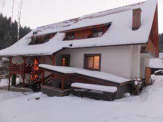 Pensiunea Piatra Mandrutului - 5