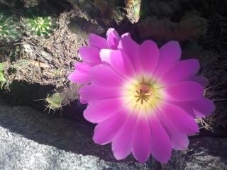 Cabañas en las Sierras de Cordoba - 7