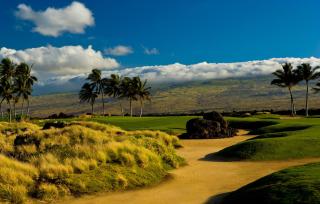 Fairway Villas Waikoloa A21 - Waikoloa - 8