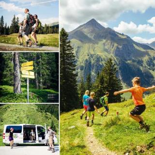 Daniela 8 by SMR Rauris Apartments - inc Spa and near Gondola - Rauris - 5