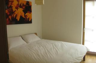 Isabella 2 by SMR Rauris Apartments - inc Spa and near Gondola - Rauris - 6