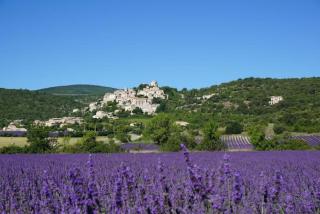La Buisse - Les 2 Gites - Simiane-la-Rotonde - 4