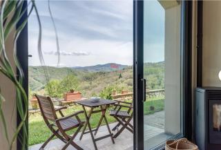 Villa Porcigliano Olive Grove - 6