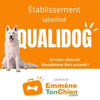 La Perle d'Alsace - Bernardswiller - 3