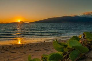 Maui Sunset A-322 - Kihei - 8
