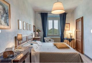 Villa Porcigliano Olive Grove - 2